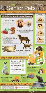 Pin On Keep Your Dog Healthy