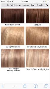 Pin By Lisa Johnson On Lisa Haircut Types Hair Color Blonde Hair Color Chart