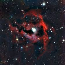 Image result for Searsia nebulosa