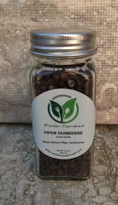 Image result for Piper guineense