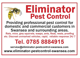 We have the ability to treat any insect/rodent/bird infestations or problems you may have. Eliminator Pest Control Cwmdu 520 Carmarthen Rd