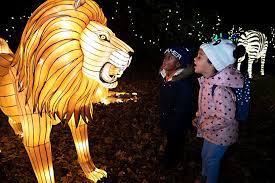 Review Visiting The Bronx Zoo Holiday Lights With Kids Bronx Zoo Holiday Lights Zoo Lights