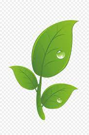 Vektor daun teh clipart 2058052 pinclipart. Green Leaf Background Png Download 1000 1500 Free Transparent Hacked Png Download Cleanpng Kisspng