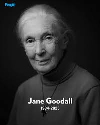 I was surprised some years back when Eric Everett moved down to SoCal as we  had worked together for many years in Sacramento and the Bay Area. This  morning I was saddened