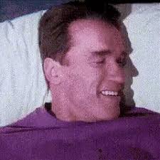 Arnold Schwarzenegger Simpsons GIF