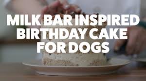Healthy homemade dog birthday cake recipe. Dog Birthday Cake Recipes 5 Dog Birthday Cakes Your Dog Will Love