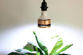 Maybe you would like to learn more about one of these? Full Spectrum White Led Grow Light Dossier Blog