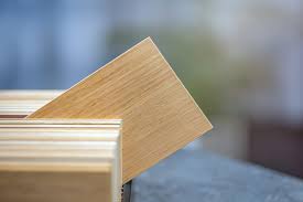 Image result for Hevea