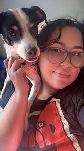 Lost German Shepherd roaming in Norcross area