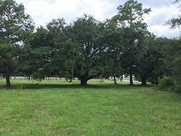 Check spelling or type a new query. Twin Oaks Nursery Home Facebook