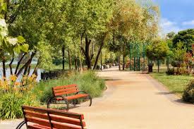 Image result for parque