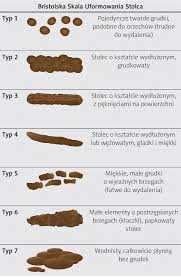 Image result for Bristol Stool Scale
