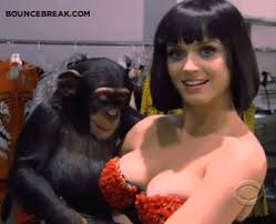 Check spelling or type a new query. 18 Gifs Of The Beautiful Katy Perry Album On Imgur