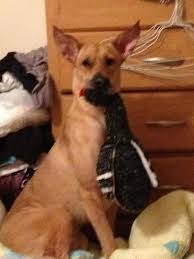 kimberly hubert (@khubert143)