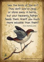 Look At The Birds Of The Air Verse See The Birds Of The Air They Don T Sow Or Reap Or Store Away In Barns But Your Heavenly Father Feeds Them Aren T Y Scripture Faith In God Scripture Verses