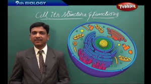Ap Ts State Board Syllabus Class 9th Biology Cell Its Structure And Functions Live Video Youtube