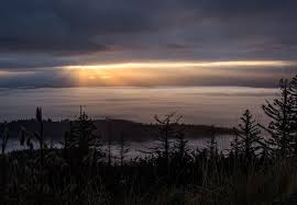 Mandi Bishop (@mandi_bishop_photography) • Instagram photos and videos