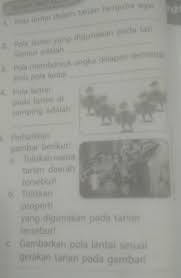 We did not find results for: Pola Lantai Tari Saman Adalah Gerakan Tari Saman Sejarah Makna Fungsi Penari Kostum Pola Lantai Yang Digunakan Dalam Tari Saman Yaitu Pola Haorizontal Berupa Garis Lurus Mendatar Ke Samping