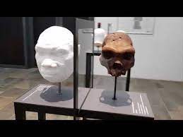 Museo estatal de arte (copenhague): Videos Del Museo De Los Vikingos En Dinamarca Youtube