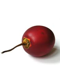Die Tamarillo Ist Botanisch Gesehen Keine Echte Tomate Wird Jedoch Auch Baumtomate Genannt Die Buschige Pflanze Stammt Aus Dem Baumtomate Saatgut Baumsamen