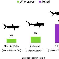 Bar Chart Of Species Identities Assigned To Shark Fins Bars