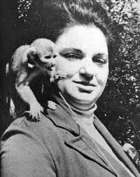 Calling again for a crime prevention tool