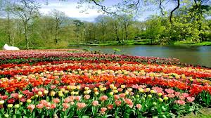 I hope people will understand that this country is not only for extremes in concrete and steel. Top 10 Most Beautiful Gardens In The World Youtube