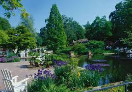 Plantenunblomen Hamburg Europapassage Europapassagehamburg Moin Welovehh Typischhamburch Hamburg Hamburg Meine Perle Tor Zur Welt