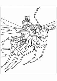 Drawing and coloring activities is fun past time for kids of all ages also to enjoy. Ant Man Riding The Wasp In Ant Man Movie Coloring Pages Avengers Coloring Pages Coloring Pages For Kids And Adults
