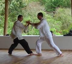 pin on tai chi
