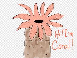 Coral Reef Polyp Drawing Exoskeleton Colony Cartoon Limestone Flower Coral Polyp Drawing Png Pngwing Coral reef, fish, cartoon, line, animal, design m group, anemone fish, pomacentridae png. coral reef polyp drawing exoskeleton