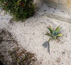 We did not find results for: How To Maintain A Gravel Garden