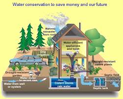 International Water Conservation Is Needed To Secure Life On