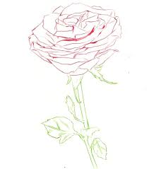1001 Modeles Et Conseils Pour Apprendre Comment Dessiner Une Rose Comment Dessiner Une Rose Fleur Dessin Facile Dessin Rose