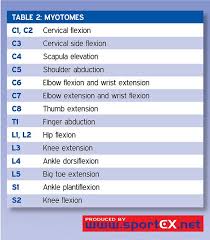 Myotomes Chart Google Search Physical Therapy Sports