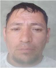 Asociación Argentina Fútbol de Veteranos