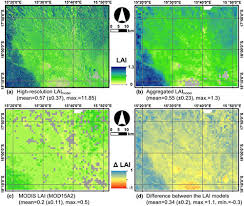 Image result for Elytrophorus globularis