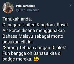 Berfungsi sebagai skuadron pengebom waktu malam (night bombing). Pahlawan Outlet Sarang Tebuan Jangan Dijolok Facebook