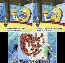 Do you have a wacky ai that can write memes for me? Spongebob Memes On Twitter In A Cosmic Sort Of Way