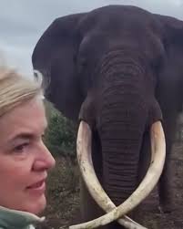 pure african photos safaris (@pureafricanphotographicsafari) · Instagram  照片和视频