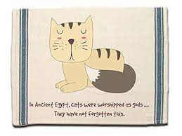 Funny Cat Saying Kitchen Towel Flour Sack With Colorful Https Www Amazon Com Dp B077zf9nm3 Ref Cm Sw R Pi Dp X Ss7tabk0s7892 Cat Quotes Funny Cats Funny
