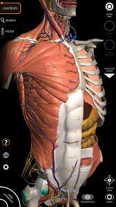 If you want to download the software on your windows pc or mac, you could either first visit the mac store or microsoft appstore and search for the app or you can easily use any of the download links we provided above under the download and install header section to download the application Pa Pa Explozie FibrÄƒ Human Anatomy Atlas 2019 Apk Eximnews Net