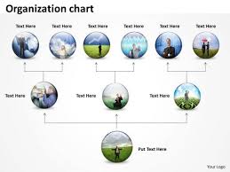 business diagram organization chart round diagram