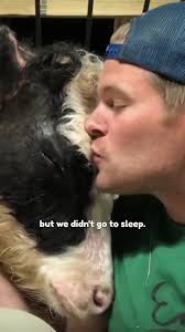 Dan Mckernan Barn San