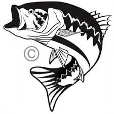 Rainbow trout jumping eps svg file free graphics uihere. Pin On Custom Sport Fishing Vector Illustrations