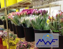 I held a store event in paramus and used metropolitan for my flowers. For The Love Of Tulips A History Main Wholesale Florist