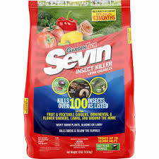 Bed bugs are one of the most insidious home pests, thanks to their tiny size, rapid breeding, and ability to survive for months without a meal. Sevin Insect Killer Lawn Granules