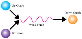 Atomic Forces Read Chemistry Ck 12 Foundation