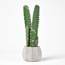 3 arrangements round cactus 6 artificial foam plant in plastic pot 6151. Echinopsis Peruviana Artificial Cactus In Decorative Textured Stone Pot 50 Cm Tall