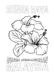 Bunga eksotik bunga tropika bunga popi bunga raya bunga perkebunan. Dsv Bunga Raya